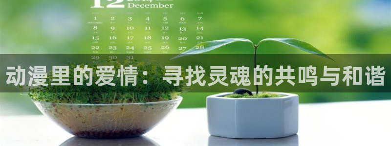 omofun动漫官网入口安卓：动漫里的爱情：寻找灵魂的共鸣与和谐