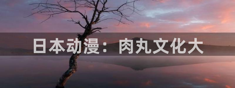omofun动画：日本动漫：肉丸文化大